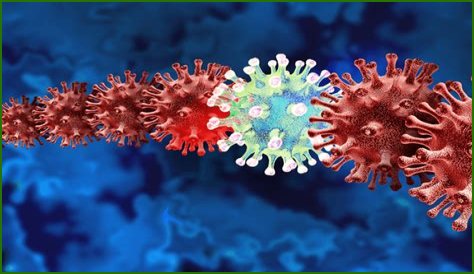 Omicron Covid-19: First case of new subvariant BQ.1.1 in New Zealand confirmed